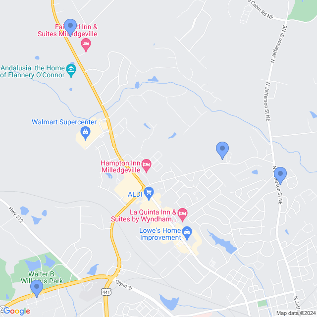 Map of veterinarians in Milledgeville, GA