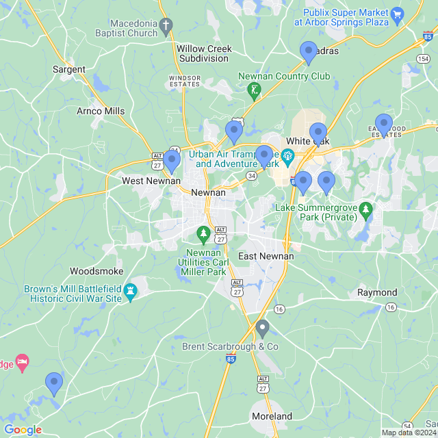 Map of veterinarians in Newnan, GA