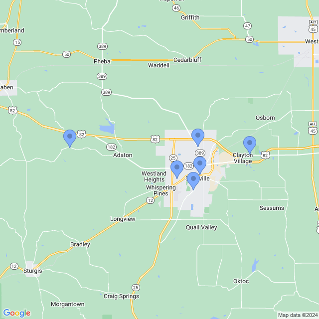Map of veterinarians in Starkville, MS