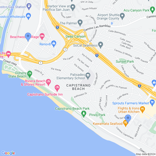 Map of veterinarians in Capistrano Beach, CA