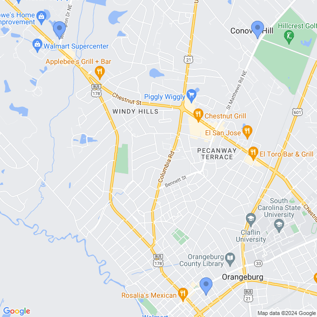 Map of veterinarians in Orangeburg, SC