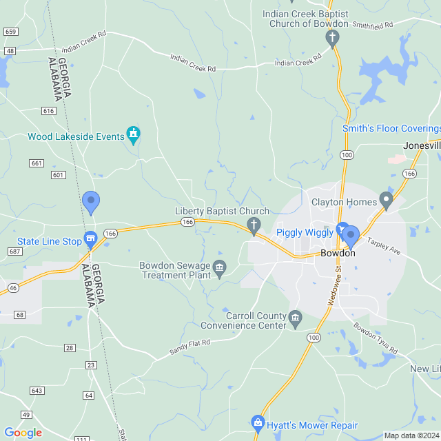 Map of veterinarians in Bowdon, GA