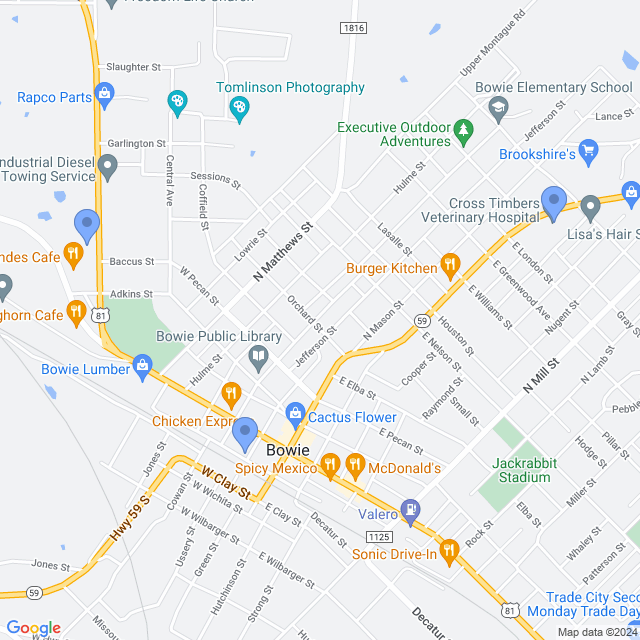 Map of veterinarians in Bowie, TX