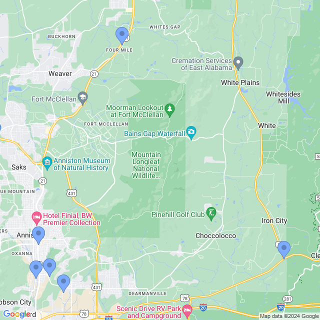 Map of veterinarians in Anniston, AL