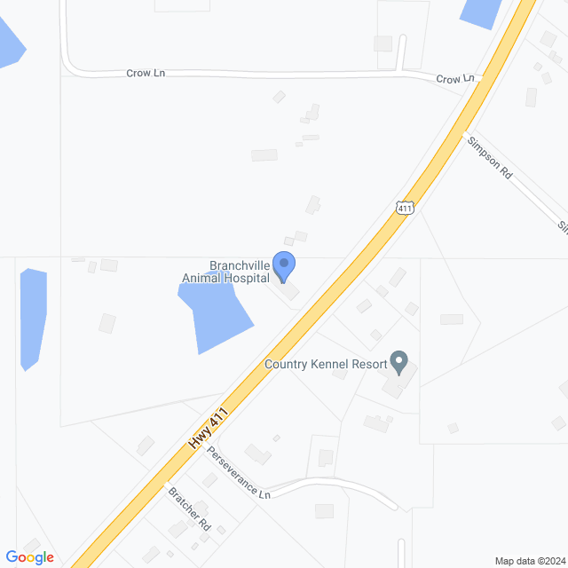 Map of veterinarians in Odenville, AL