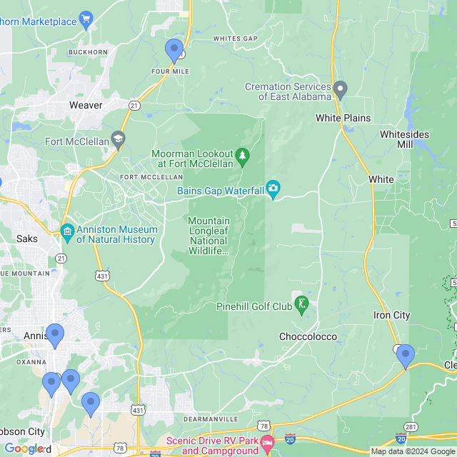 Map of veterinarians in Anniston, AL