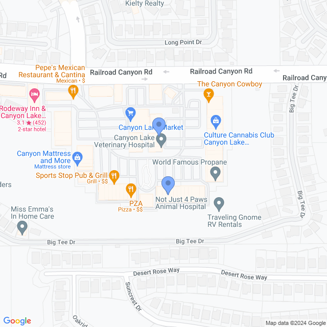 Map of veterinarians in Canyon Lake, CA