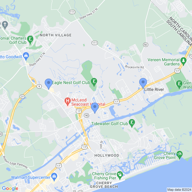 Map of veterinarians in Little River, SC