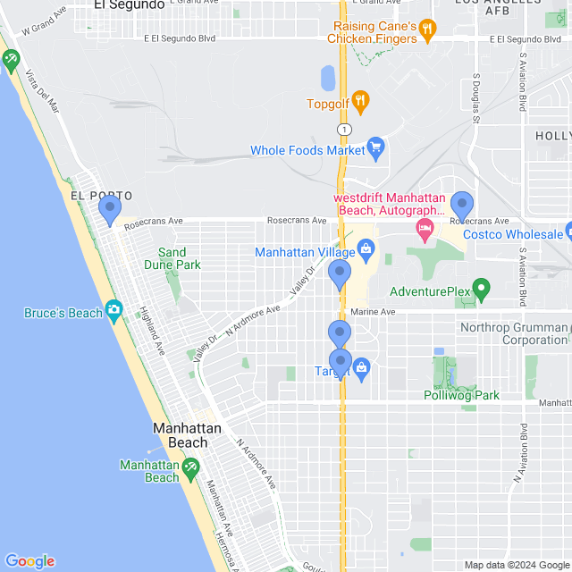 Map of veterinarians in Manhattan Beach, CA