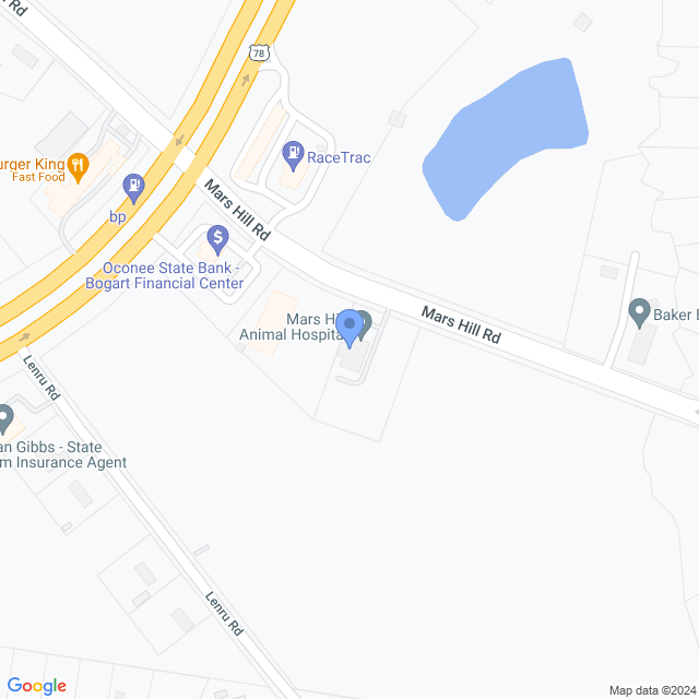 Map of veterinarians in Bogart, GA