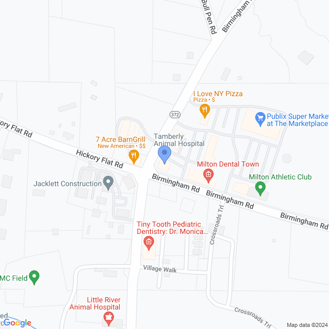 Map of veterinarians in Milton, GA