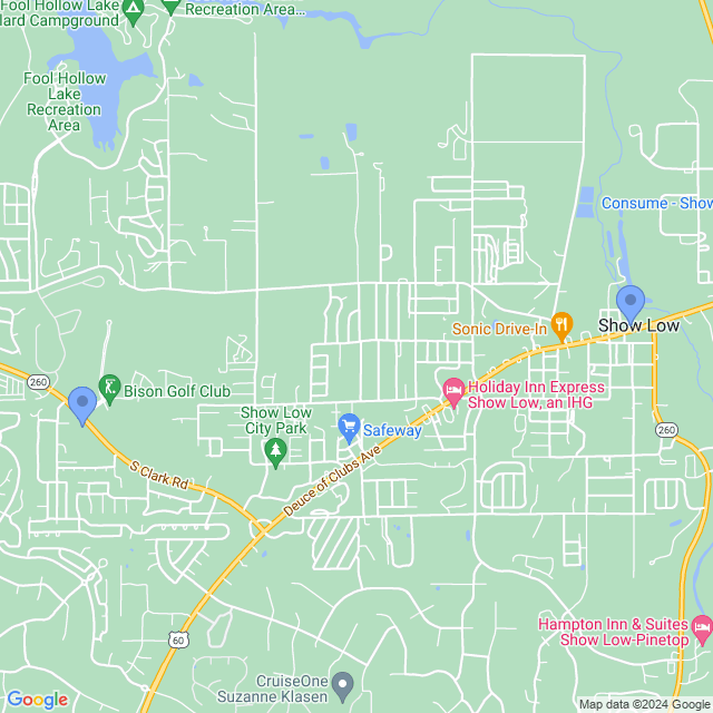 Map of veterinarians in Show Low, AZ