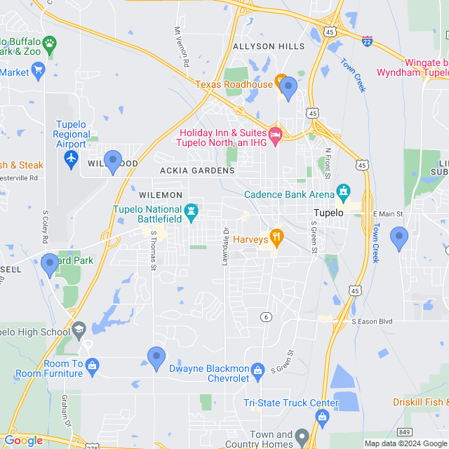 Map of veterinarians in Tupelo, MS