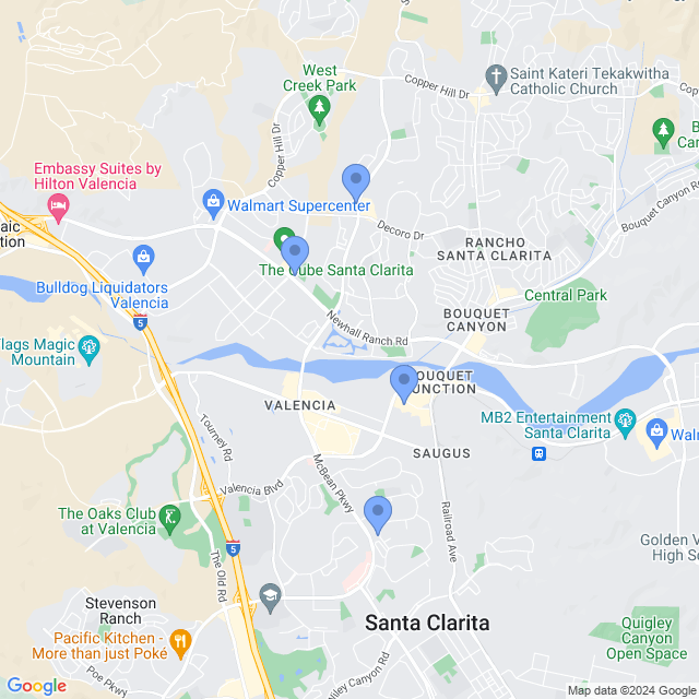 Map of veterinarians in Valencia, CA