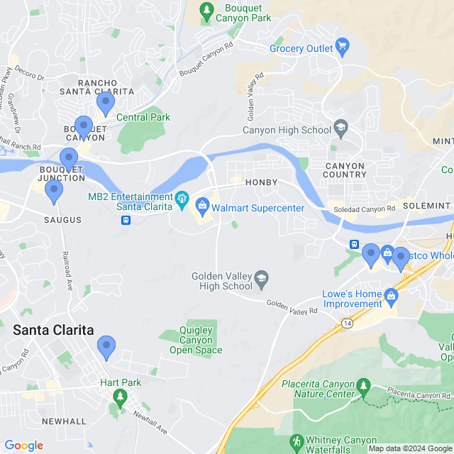 Map of veterinarians in Santa Clarita, CA