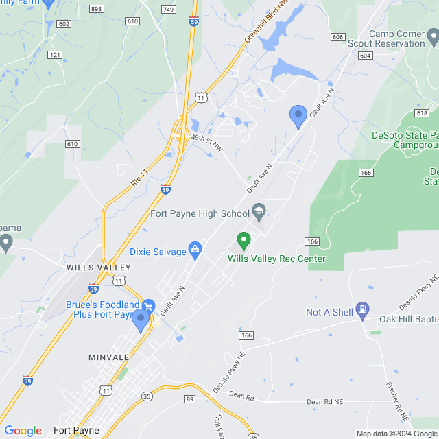 Map of veterinarians in Fort Payne, AL