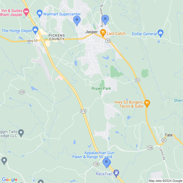 Map of veterinarians in Jasper, GA