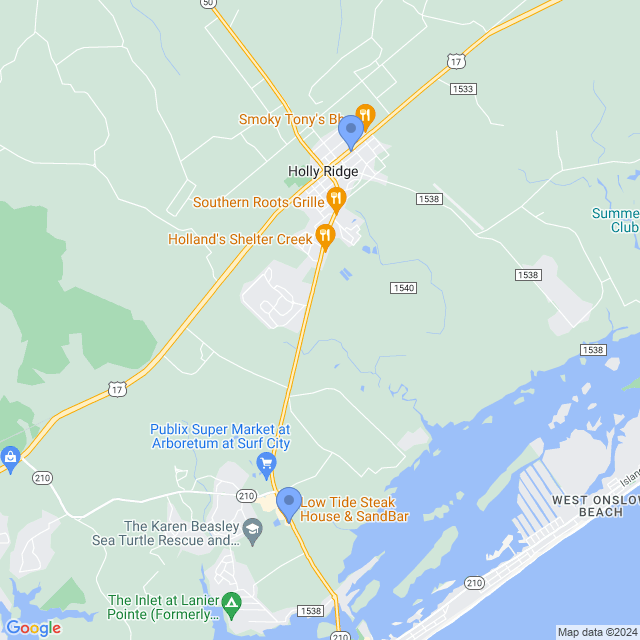 Map of veterinarians in Holly Ridge, NC