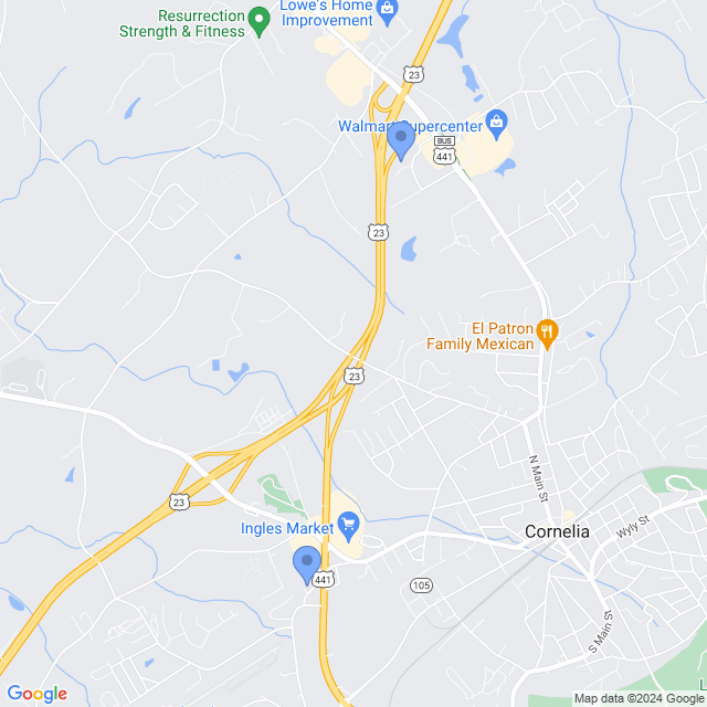 Map of veterinarians in Cornelia, GA