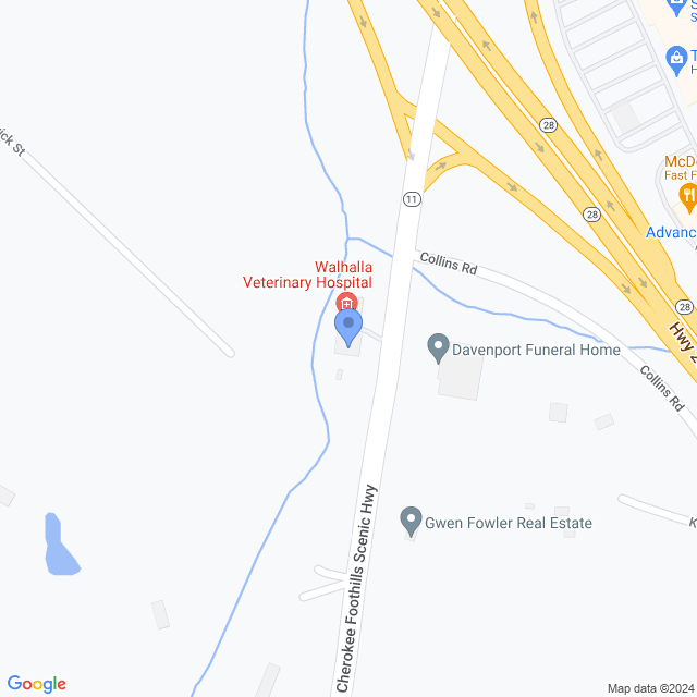 Map of veterinarians in West Union, SC