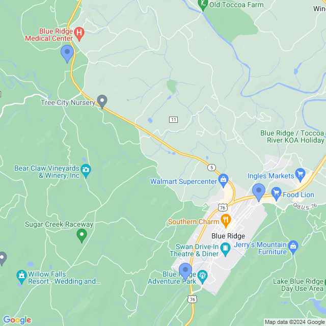 Map of veterinarians in Blue Ridge, GA