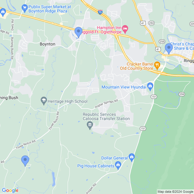 Map of veterinarians in Ringgold, GA