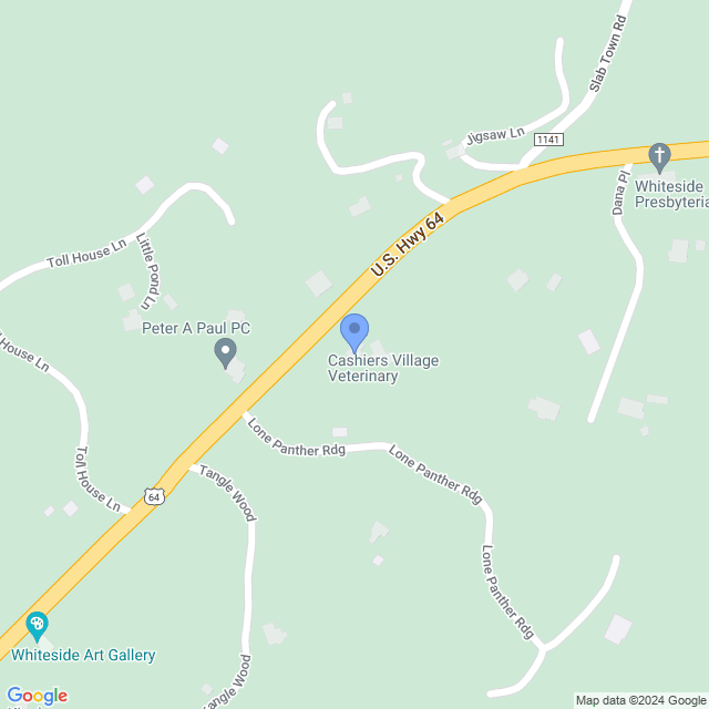 Map of veterinarians in Cashiers, NC