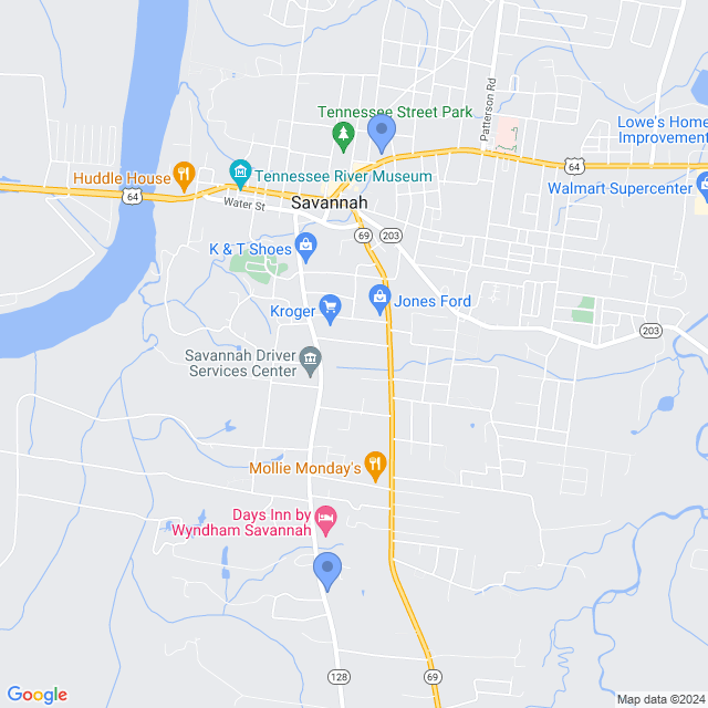 Map of veterinarians in Savannah, TN