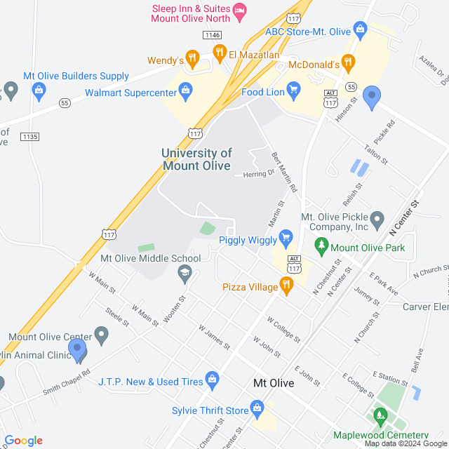 Map of veterinarians in Mt Olive, NC