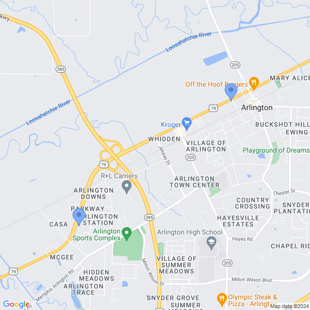 Map of veterinarians in Arlington, TN