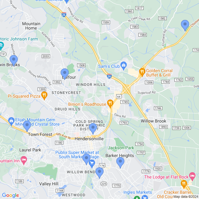 Map of veterinarians in Hendersonville, NC