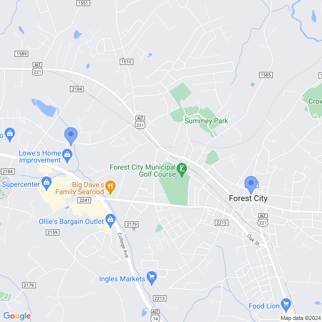 Map of veterinarians in Forest City, NC