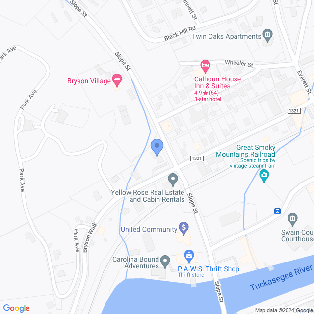 Map of veterinarians in Bryson City, NC