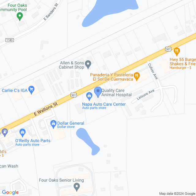 Map of veterinarians in Four Oaks, NC