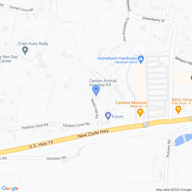 Map of veterinarians in Canton, NC