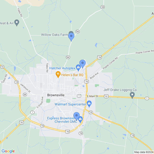 Map of veterinarians in Brownsville, TN