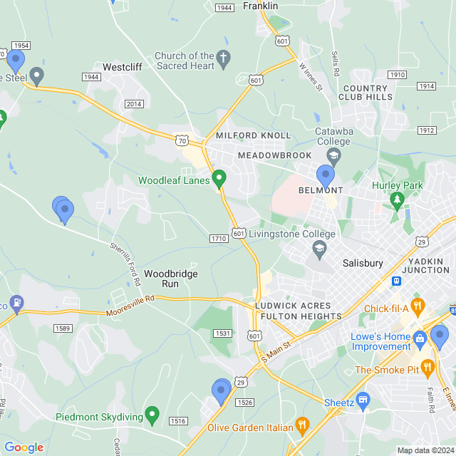 Map of veterinarians in Salisbury, NC