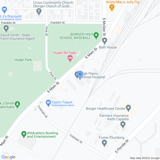 Map of veterinarians in Borger, TX