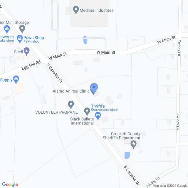 Map of veterinarians in Alamo, TN