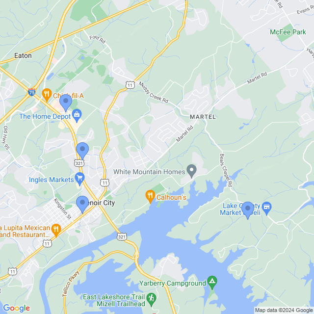 Map of veterinarians in Lenoir City, TN