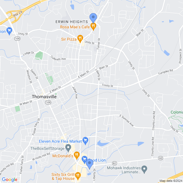 Map of veterinarians in Thomasville, NC