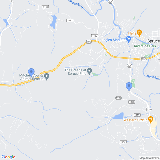 Map of veterinarians in Spruce Pine, NC