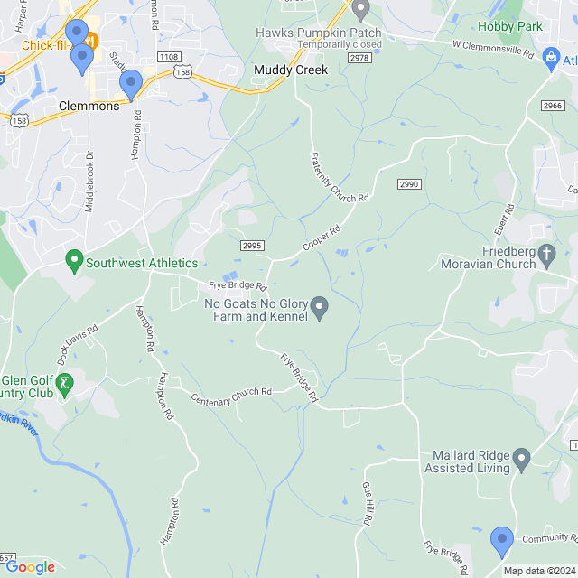 Map of veterinarians in Clemmons, NC
