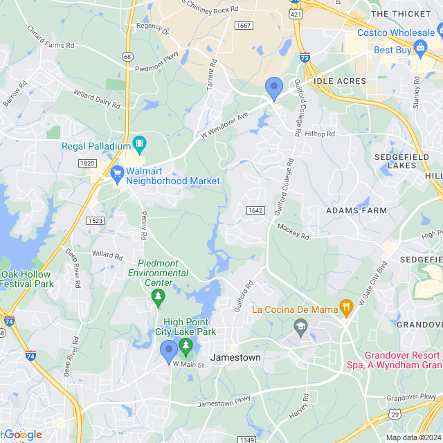 Map of veterinarians in Jamestown, NC