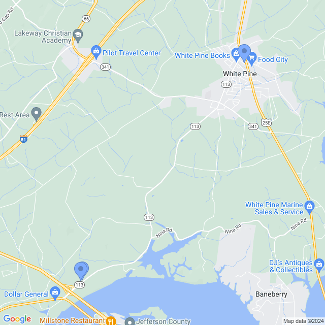 Map of veterinarians in White Pine, TN