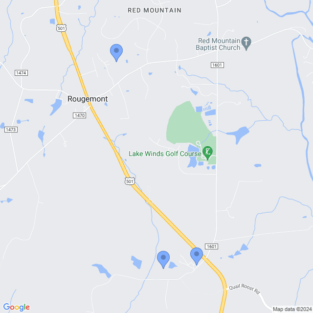 Map of veterinarians in Rougemont, NC