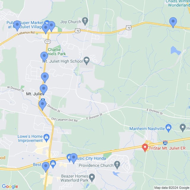 Map of veterinarians in Mt Juliet, TN