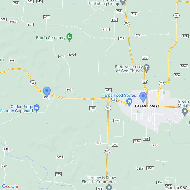 Map of veterinarians in Green Forest, AR