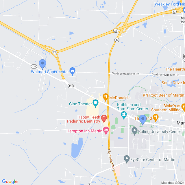 Map of veterinarians in Martin, TN
