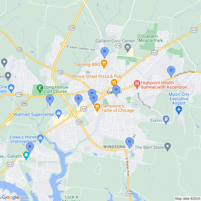Map of veterinarians in Gallatin, TN